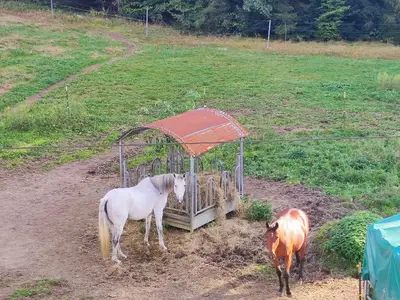 Helga's Candy Ranch