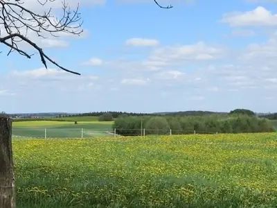 Ferienwohnung für 3 Personen (60 m²) in Lindetal 10/10
