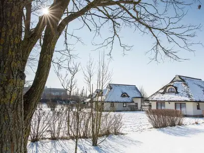 Ferienwohnung für 3 Personen (40 m²) in Linstow 2/10