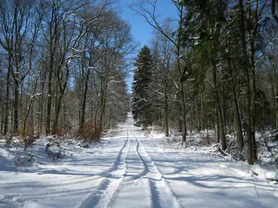 Winter in Lissendorf Winter in Lissendorf