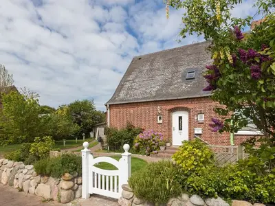 Ferienwohnung für 2 Personen (36 m²) in List auf Sylt 3/10