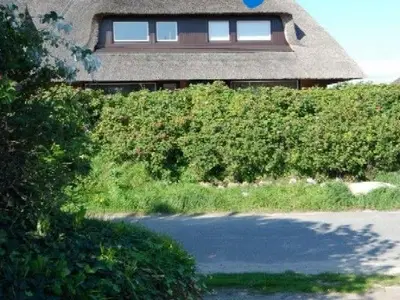 Ferienwohnung für 3 Personen (50 m²) in List 1/10