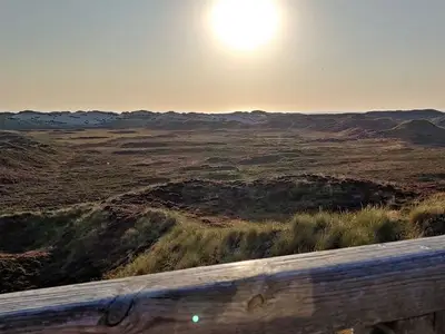 Ferienwohnung für 2 Personen (25 m²) in List auf Sylt 6/10