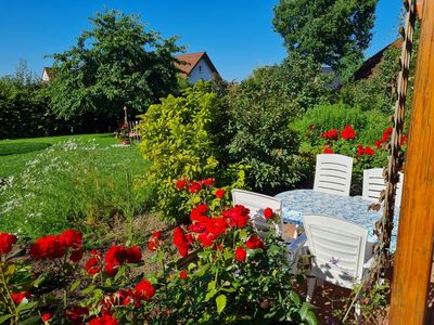 Ferienwohnung für 4 Personen (36 m²) in Litzendorf 6/10