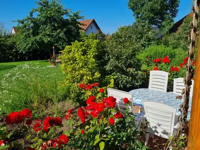 Ferienwohnung für 4 Personen (36 m²) in Litzendorf 6/10