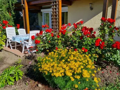 Ferienwohnung für 4 Personen (36 m²) in Litzendorf 7/10