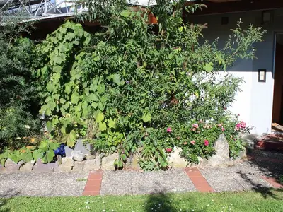 Ferienwohnung für 2 Personen (30 m²) in Litzendorf 6/10