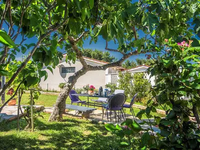 Ferienwohnung für 4 Personen (55 m²) in Liznjan 6/10