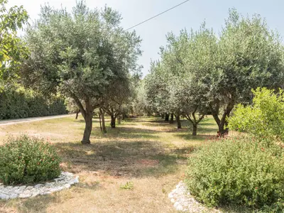 Ferienwohnung für 6 Personen (46 m²) in Liznjan 8/10