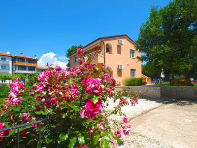 Ferienwohnung für 3 Personen (32 m²) in Liznjan 1/10