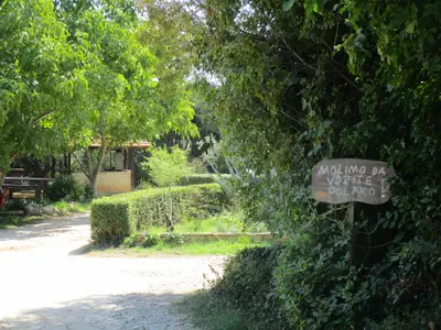 Zufahrt