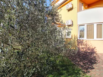 Ferienwohnung für 4 Personen (56 m²) in Liznjan 4/10