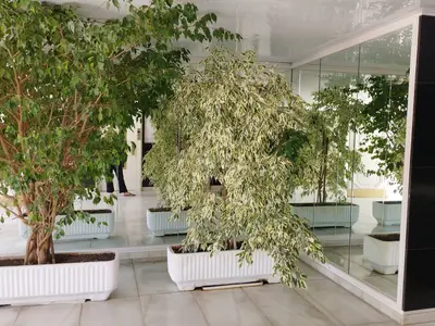 HallReception