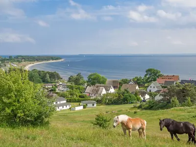 Landschaft