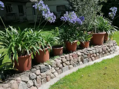 Ferienwohnung für 4 Personen (55 m²) in Löbnitz (Mecklenburg-Vorpommern) 7/10