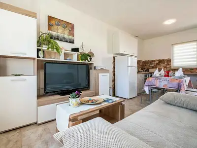 Ferienwohnung für 4 Personen (38 m²) in Loborika 1/10