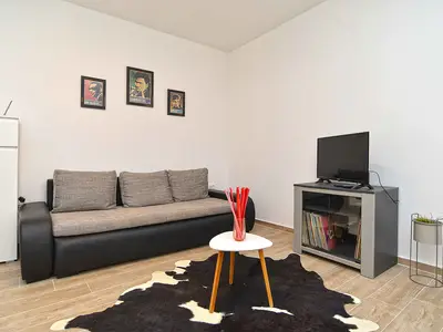 Ferienwohnung für 4 Personen (45 m²) in Loborika 8/10
