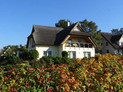 Ferienwohnung für 4 Personen (70 m²) in Loddin (Seebad) 3/10