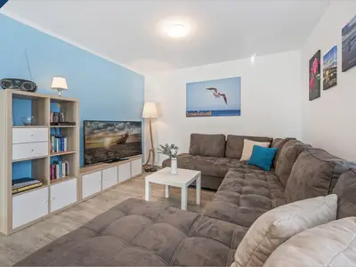 Strandmöwe EG