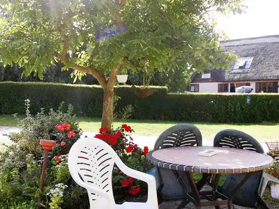 Ferienwohnung für 2 Personen (45 m²) in Loddin (Seebad) 6/10