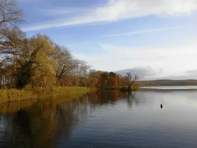 Ferienwohnung für 4 Personen (65 m²) in Loddin (Seebad) 3/10