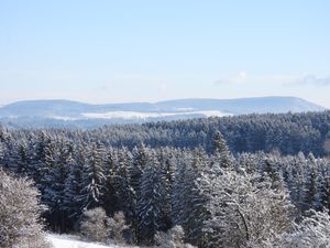 23466224-Ferienwohnung-7-Löffingen-300x225-5