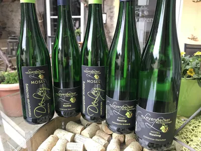 Wein aus eigenen Anbau