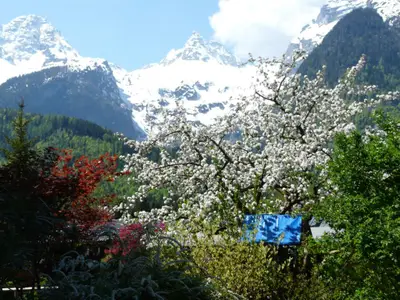 Blick vom Balkon Frühjahr