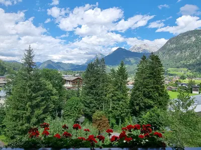 Haus Alpenrose 9