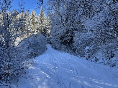 Spazierweg bei Dittishausen