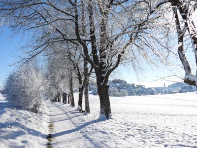 Kreuzweg bei der Wallfahrtskirche Witterschnee in Löffingen