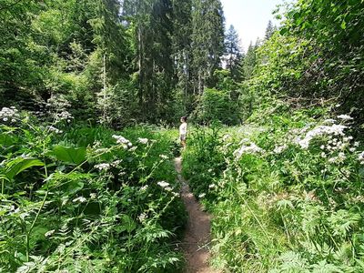 Rötenbachschlucht