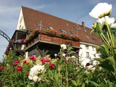 Sommeransicht Gartenseite