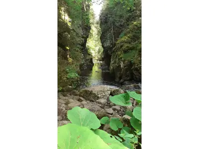 Rechenfelsen-Haslachschlucht