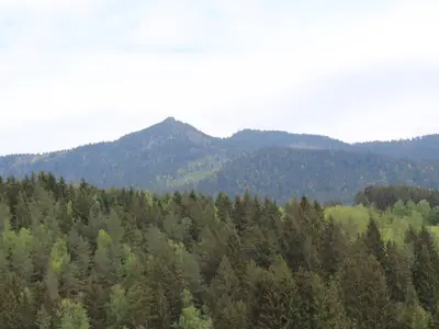 Ausblick