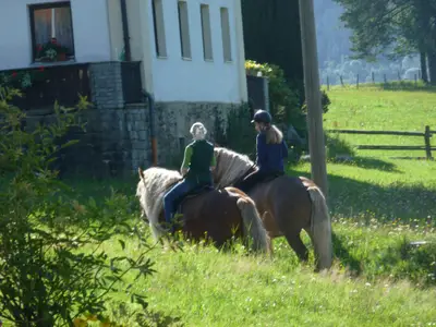 Urlaub auf dem Haberlhof