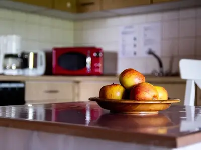 Steindl - Essbereich