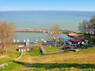 ViewSummer