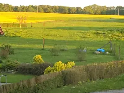 Ferienwohnung für 4 Personen (48 m²) in Hagen Auf Rügen 6/10