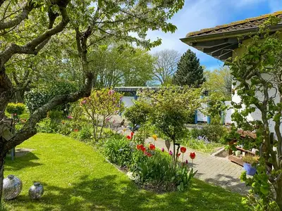 Ferienwohnung für 2 Personen (40 m²) in Lohme (Rügen) 3/10