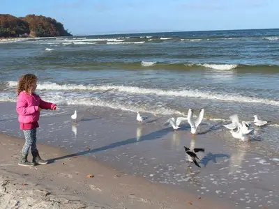 Ferienwohnung für 6 Personen (65 m²) in Lohme (Rügen) 10/10