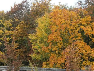 Ferienwohnung für 6 Personen (65 m²) in Lohme (Rügen) 2/10