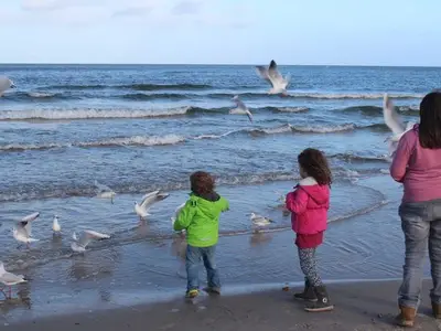 Ferienwohnung für 6 Personen (65 m²) in Lohme (Rügen) 3/10