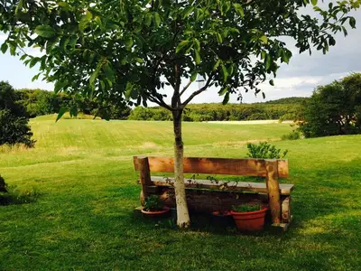 Ferienwohnung für 5 Personen (75 m²) in Hagen Auf Rügen 7/10