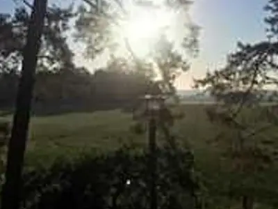 Ferienwohnung für 5 Personen (70 m²) in Lohmen 7/10