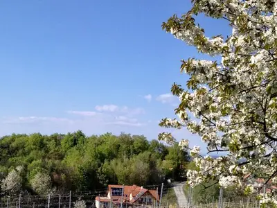 Ferienwohnung für 5 Personen (65 m²) in Loipersdorf bei Fürstenfeld 2/10
