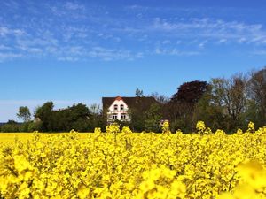 22030903-Ferienwohnung-5-Loit-300x225-0