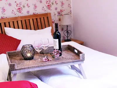 drosengartenschlaf1klein