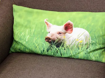 Schweinekissen Apfelblüte