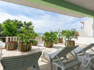 Ferienwohnung für 4 Personen (33 m²) in Lokva Rogoznica 2/10